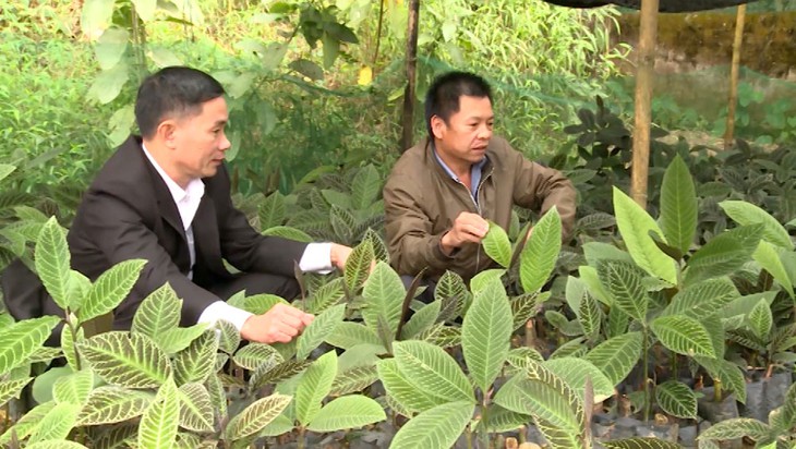 Người lưu giữ báu vật của rừng xanh Tuyên Quang - Ảnh 2.