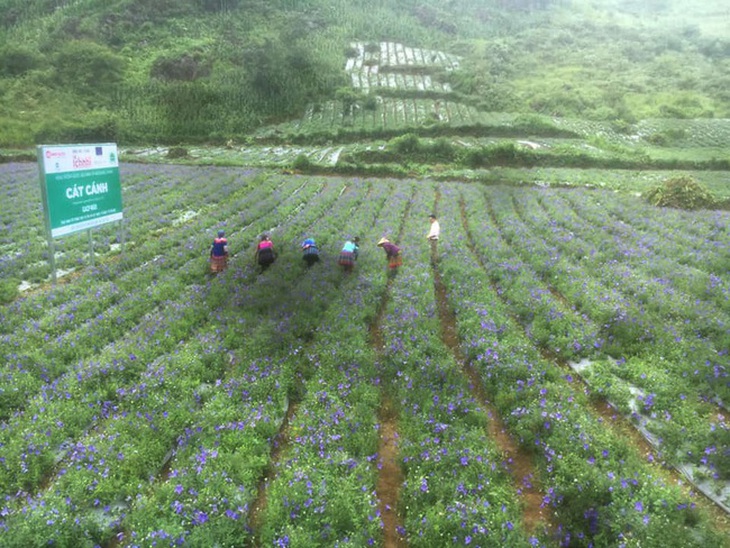 Nguồn tài nguyên cây và tri thức - 2 yếu tố cấu thành để phát triển kinh tế dược liệu - Ảnh 1. Nguồn tài nguyên cây và tri thức - 2 yếu tố cấu thành để phát triển kinh tế dược liệu - Ảnh 1.