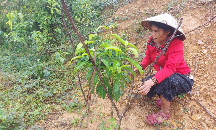 Nhờ Chương trình 1719, xã miền biên thuận lợi hơn để chăm lo đời sống vật chất và tinh thần cho đồng bào- Ảnh 8.