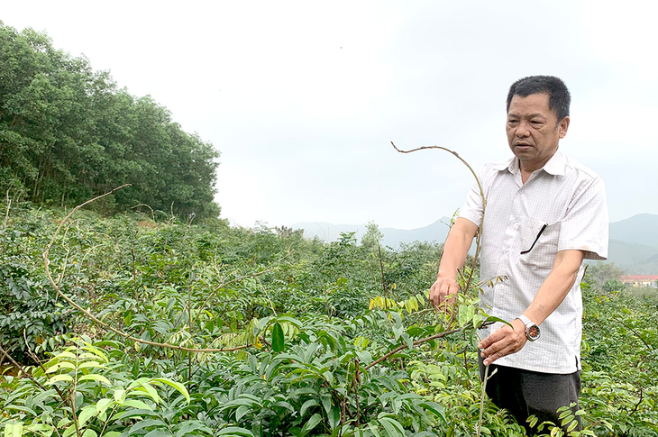 Người lưu giữ báu vật của rừng xanh Tuyên Quang - Ảnh 1.