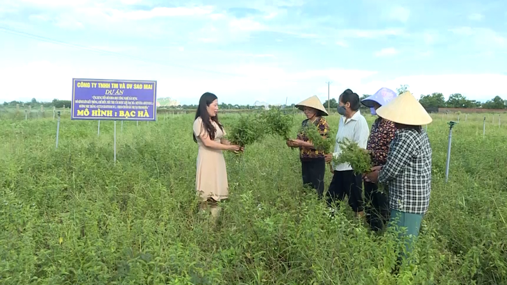 Đồng bào vùng cao Thanh Hóa nương nhờ vào cây dược liệu - Ảnh 1. Đồng bào vùng cao Thanh Hóa nương nhờ vào cây dược liệu - Ảnh 1.
