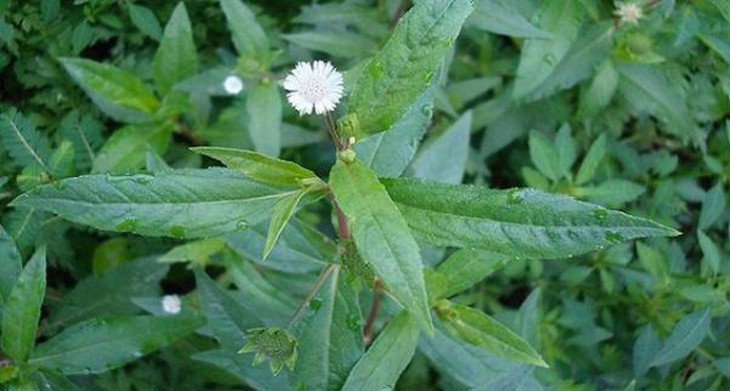 photo-1695130582517