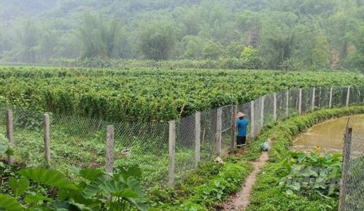 photo-1695132430278