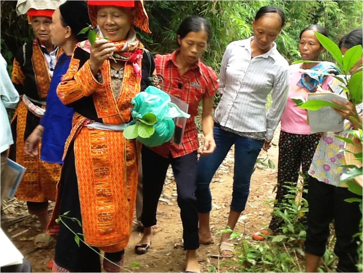 Hữu Lũng – kế thừa, phát huy tinh hoa nền y học cổ truyền - Ảnh 2. Hữu Lũng – kế thừa, phát huy tinh hoa nền y học cổ truyền - Ảnh 2.