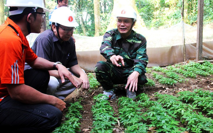 Phát triển cây dược liệu bằng cách áp dụng khoa học - kỹ thuật