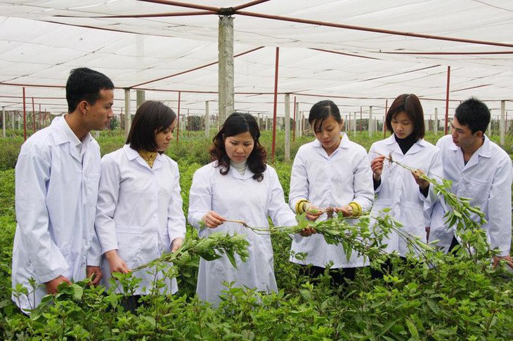 Phải xác định phát triển dược liệu thành một 'ngành hàng' - Ảnh 1.