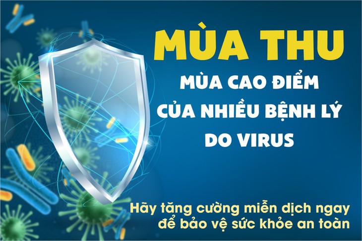 Tăng cường miễn dịch – Phòng tránh "ốm vặt" khi tiết trời sang thu - Ảnh 1. Tăng cường miễn dịch – Phòng tránh "ốm vặt" khi tiết trời sang thu - Ảnh 1.