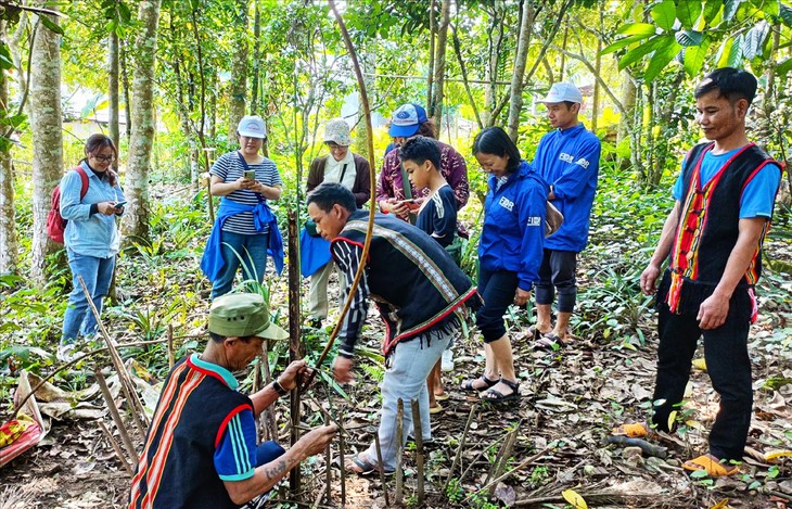 Phát triển vùng trồng dược liệu giúp các tỉnh miền núi đạt mục tiêu kép - Ảnh 3.