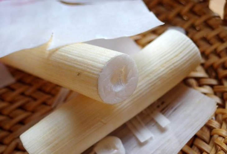 Món ăn, vị thuốc cải thiện tình trạng tắc sữa, mất sữa - Ảnh 3.