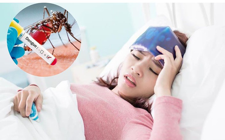 Sốt xuất huyết gia tăng, chuyên gia lưu ý cách chăm sóc người bệnh tốt nhất