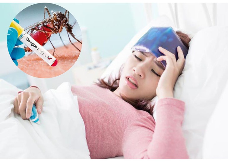 Số ca mắc sốt xuất huyết gia tăng, chuyên gia lưu ý cách chăm sóc người bệnh sốt xuất huyết tốt nhất - Ảnh 2. Số ca mắc sốt xuất huyết gia tăng, chuyên gia lưu ý cách chăm sóc người bệnh sốt xuất huyết tốt nhất - Ảnh 2.