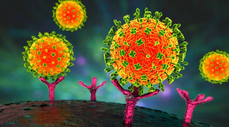 Bộ Y tế: Việt Nam chưa ghi nhận trường hợp mắc bệnh do virus Nipah- Ảnh 1. Bộ Y tế: Việt Nam chưa ghi nhận trường hợp mắc bệnh do virus Nipah- Ảnh 1.