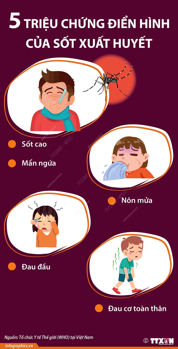 5 triệu chứng điển hình của sốt xuất huyết - Ảnh 1.