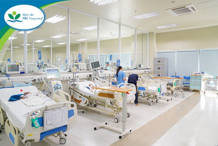 Đàn ong đốt hơn 100 nốt, bé trai 10 tuổi tử vong do suy đa dạng, rối loạn đông máu - Ảnh 1.