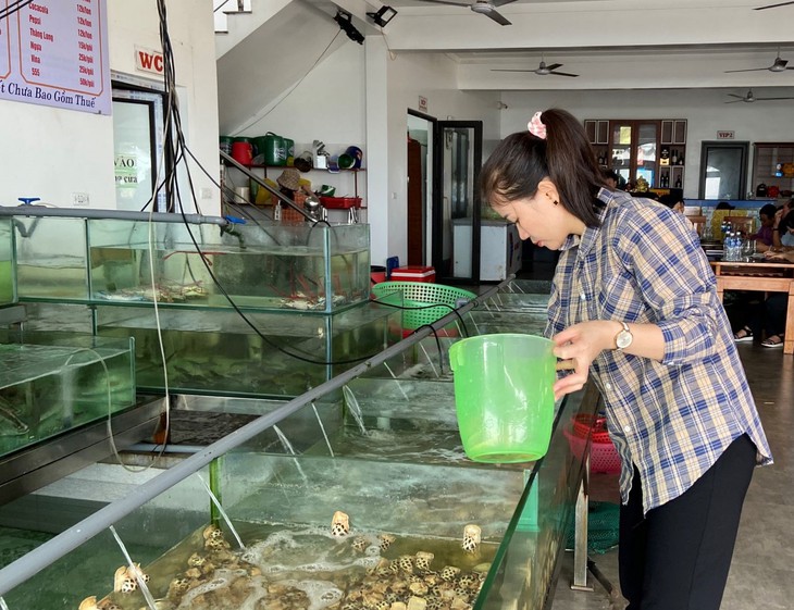 Cơ sở kinh doanh ẩm thực tại các bãi biển ở Hà Tĩnh chú trọng đảm bảo an toàn vệ sinh thực phẩm - Ảnh 2. Cơ sở kinh doanh ẩm thực tại các bãi biển ở Hà Tĩnh chú trọng đảm bảo an toàn vệ sinh thực phẩm - Ảnh 2.