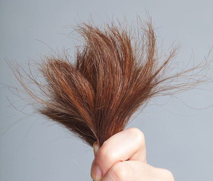 Tóc có cần “thải độc”? - Ảnh 1. Tóc có cần “thải độc”? - Ảnh 1.