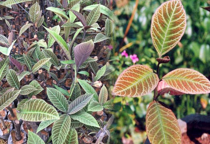 photo-1695696736007