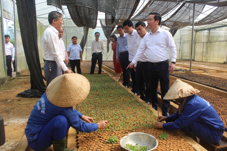 Nghệ An: Đẩy mạnh phát triển cây dược liệu, sản xuất dược liệu - Ảnh 1. Nghệ An: Đẩy mạnh phát triển cây dược liệu, sản xuất dược liệu - Ảnh 1.