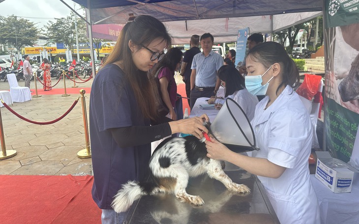 60.000 ca tử vong mỗi năm vì căn bệnh do chó mèo cắn