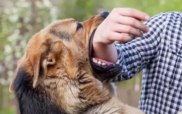 Sự thật về việc "không bị chó cắn nhưng người đàn ông vẫn tử vong vì bệnh dại"