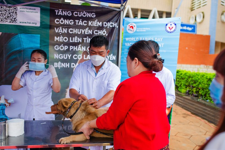 Hỗ trợ hoạt động tiêm phòng bệnh dại miễn phí - Ảnh 1.