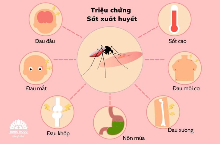 Làm thế nào để giảm đau nhức khi bị sốt xuất huyết? - Ảnh 1. Làm thế nào để giảm đau nhức khi bị sốt xuất huyết? - Ảnh 1.