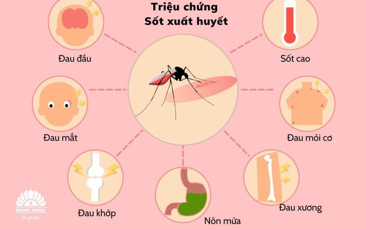 Tại sao sốt xuất huyết gây đau nhức cơ thể dữ dội, làm thế nào để giảm đau?