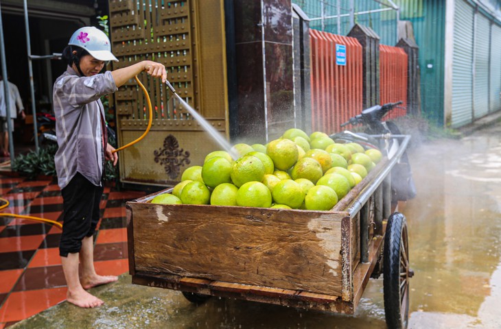 Người dân vội vã thu hoạch quả đặc sản sau khi lũ rút - Ảnh 9.