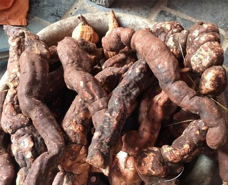 4 loại trà giúp cải thiện chứng hay quên ở người cao tuổi - Ảnh 5.