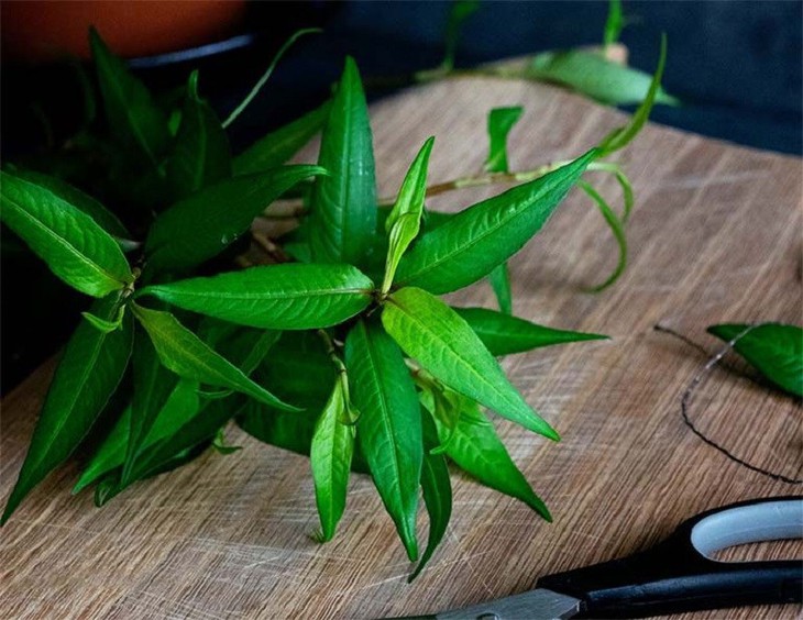 Đau mắt đỏ dùng rau răm xông, nhỏ được không? - Ảnh 1.