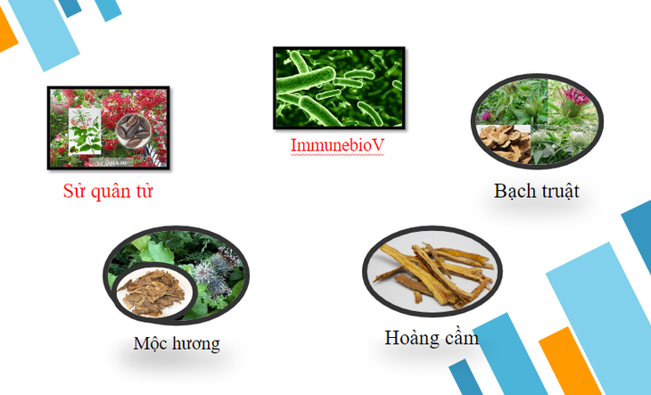 Khám phá bí mật về giải pháp hỗ trợ cho người viêm đại tràng - Ảnh 2. Khám phá bí mật về giải pháp hỗ trợ cho người viêm đại tràng - Ảnh 2.