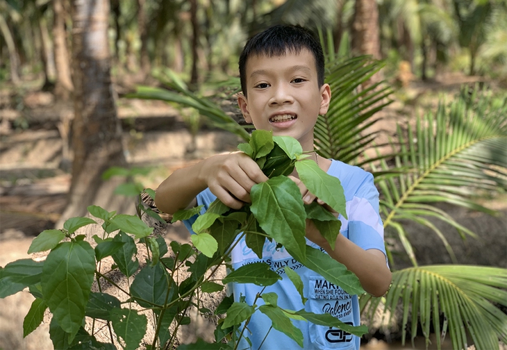 Học sinh Việt Nam giành giải Ba quốc tế cuộc thi viết thư UPU - Ảnh 1.