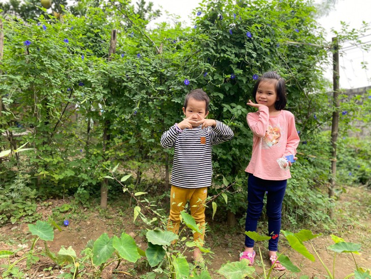 Khi những bông hoa đậu biếc nở trong khu vườn của Mái ấm Thánh Tâm - Ảnh 4.
