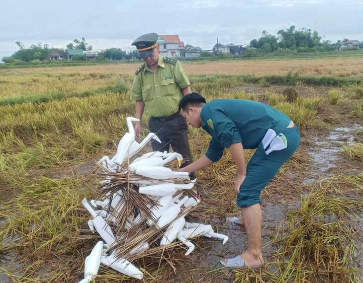 Kiểm lâm tiêu thuỷ hàng trăm dụng cụ bẫy, giải cứu chim trời - Ảnh 1.