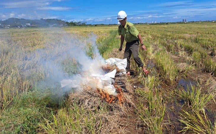 Tiêu hủy hàng trăm dụng cụ bẫy, giải cứu chim trời