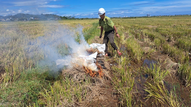 Kiểm lâm tiêu thuỷ hàng trăm dụng cụ bẫy, giải cứu chim trời - Ảnh 2.