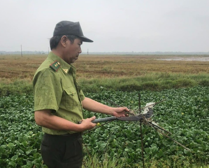 Kiểm lâm tiêu thuỷ hàng trăm dụng cụ bẫy, giải cứu chim trời - Ảnh 3.