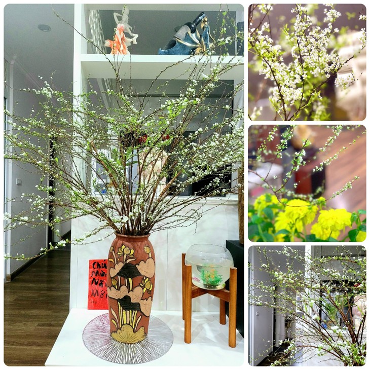 Cách cắm hoa tuyết mai nở bung đúng 3 ngày Tết Nguyên đán- Ảnh 2.