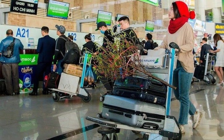 Vận chuyển đào mai bằng đường hàng không cần lưu ý gì?