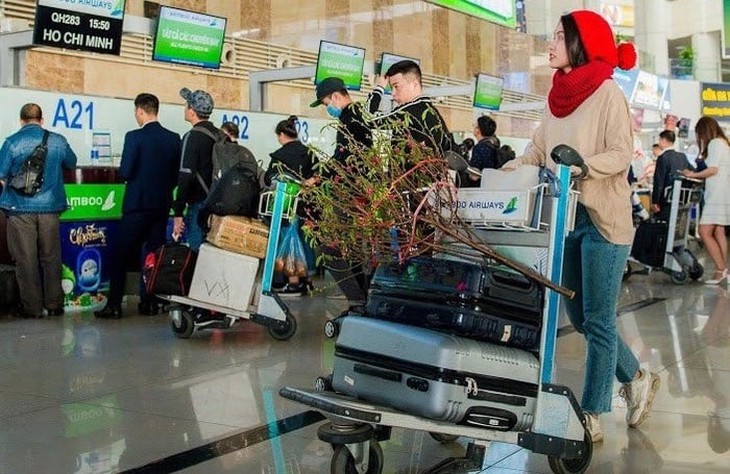 Vận chuyển đào mai bằng đường hàng không cần lưu ý gì?- Ảnh 1. Vận chuyển đào mai bằng đường hàng không cần lưu ý gì?- Ảnh 1.