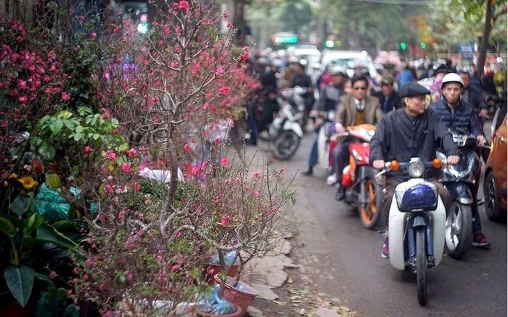 Đợt không khí lạnh tuần sau có thể kéo dài đến cận Tết Nguyên đán