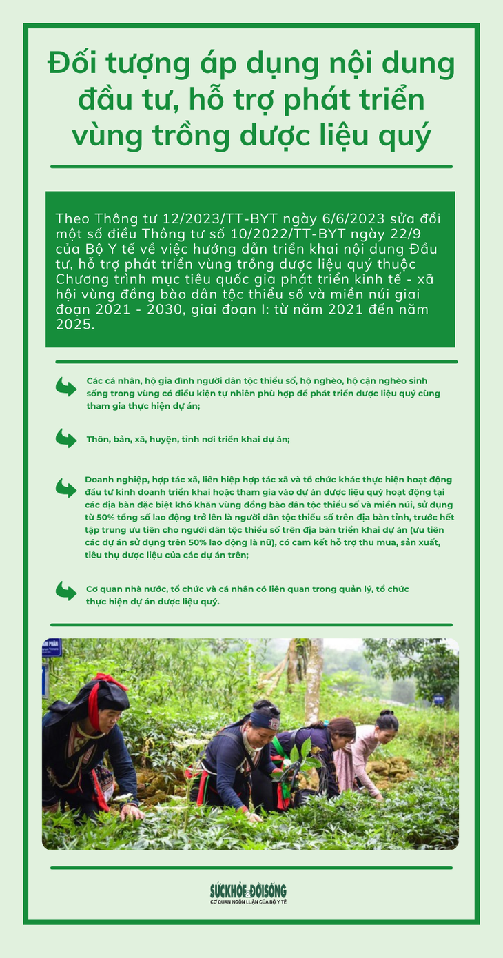 [Inforgraphic] Đồng bào dân tộc thiểu số trồng dược liệu được tiếp thêm động lực- Ảnh 1.