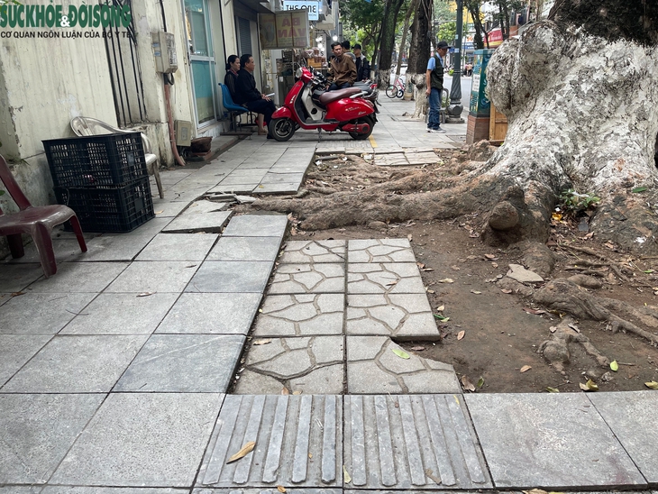 Lối đi cho người khiếm thị ở Hà Nội bị lấn chiếm- Ảnh 6.