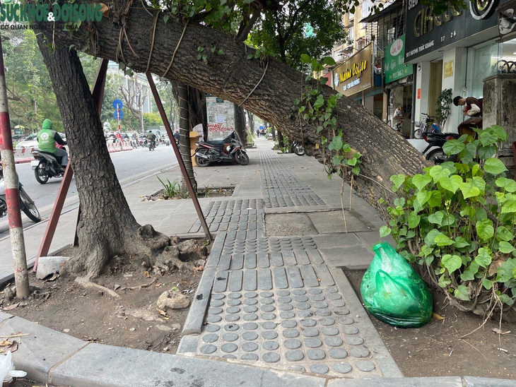 Lối đi cho người khiếm thị ở Hà Nội bị lấn chiếm- Ảnh 8.