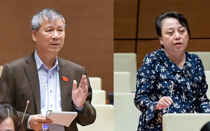 ĐBQH nêu lý do cần thiết phải cấm bán thuốc qua mạng xã hội, livestream