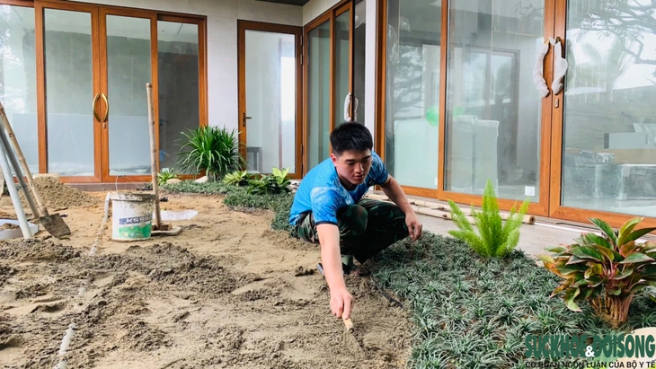 Nhiều người săn lùng Dương xỉ cổ đại chơi Tết- Ảnh 5.