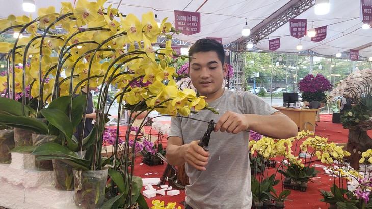 Kiếm vài triệu mỗi ngày nhờ nghề cắm lan hồ điệp dịp Tết- Ảnh 4.