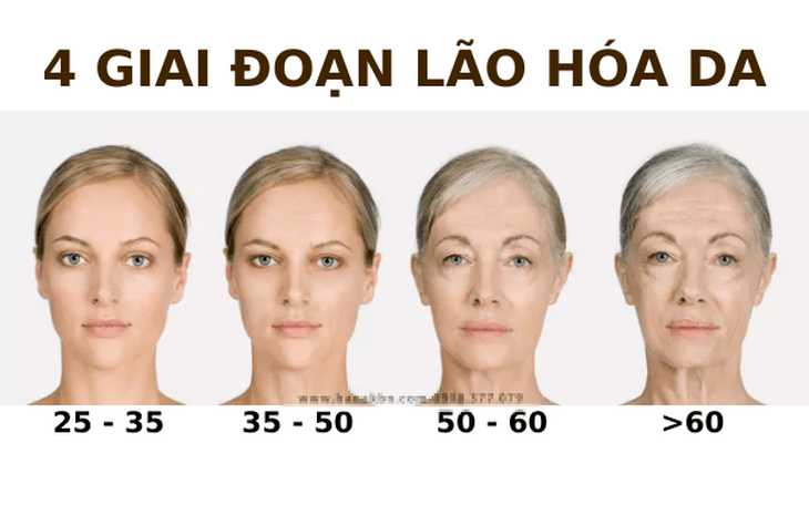 Các vitamin giúp ngăn ngừa lão hóa- Ảnh 1.