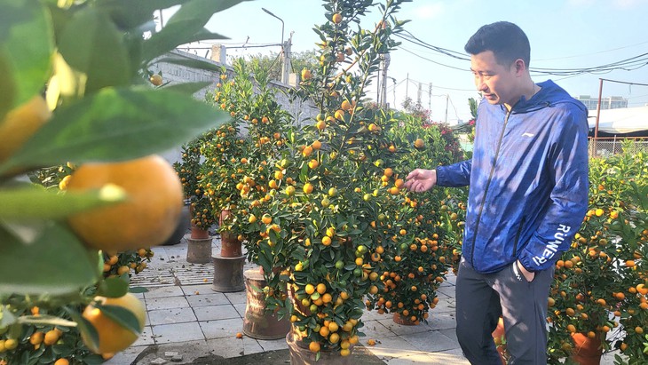 Đào và quất đua nhau xuống phố 'gọi' Tết về- Ảnh 7.