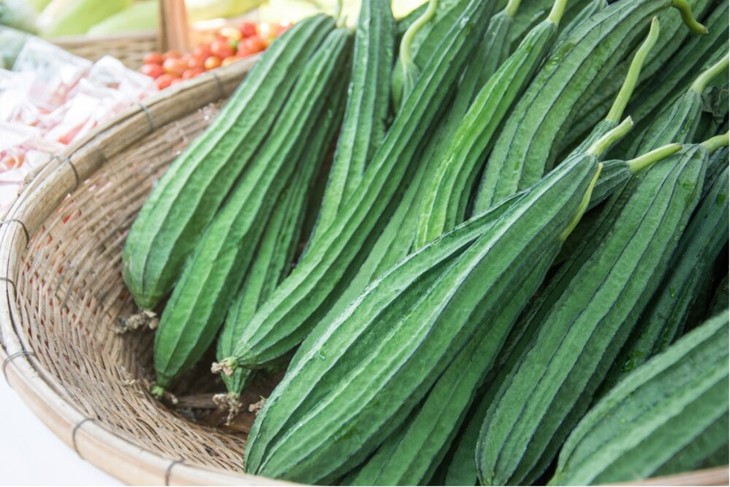Bài thuốc chữa bệnh từ cây mướp khía- Ảnh 2.